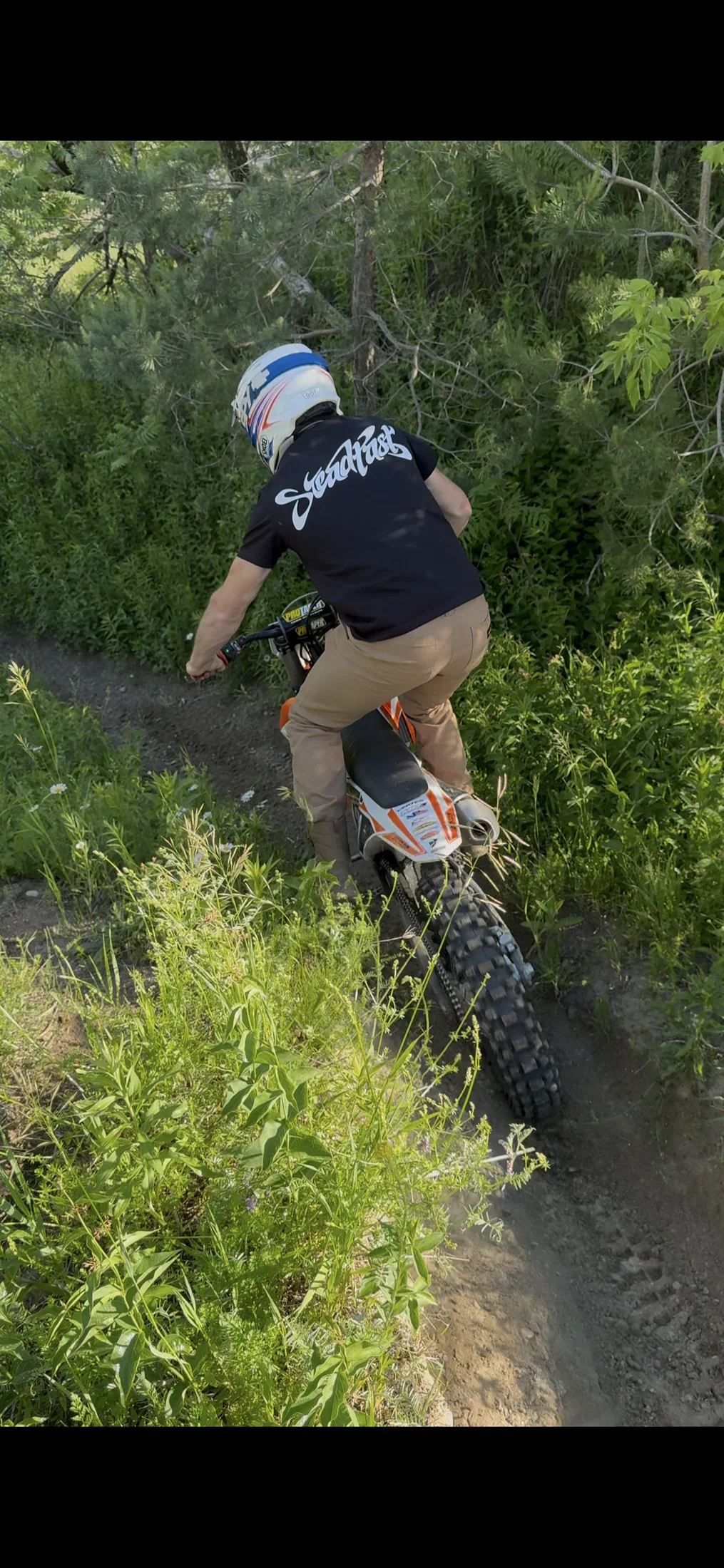 Steadfast editorial carousel image 43.